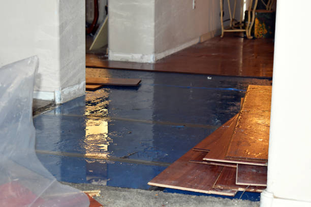 Professional Flood Damage Restoration technician working in Arnold, MD
